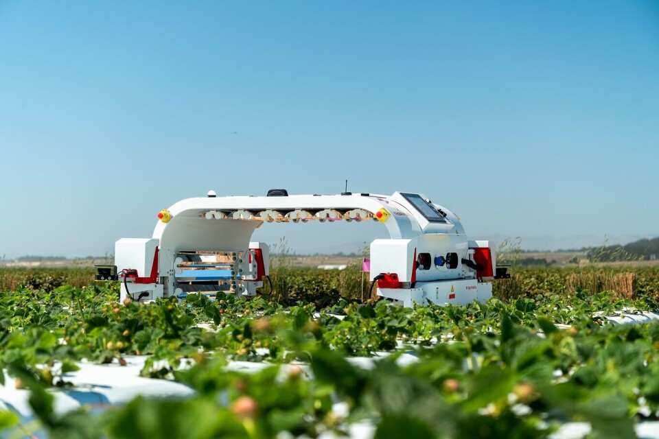 MILJØVENNLIG ALTERNATIV: Saga Robotics ville utvikle en laserrobot som kan erstatte sprøytemidler. Resultatet ble Thorvald. Foto Innovasjon Norge